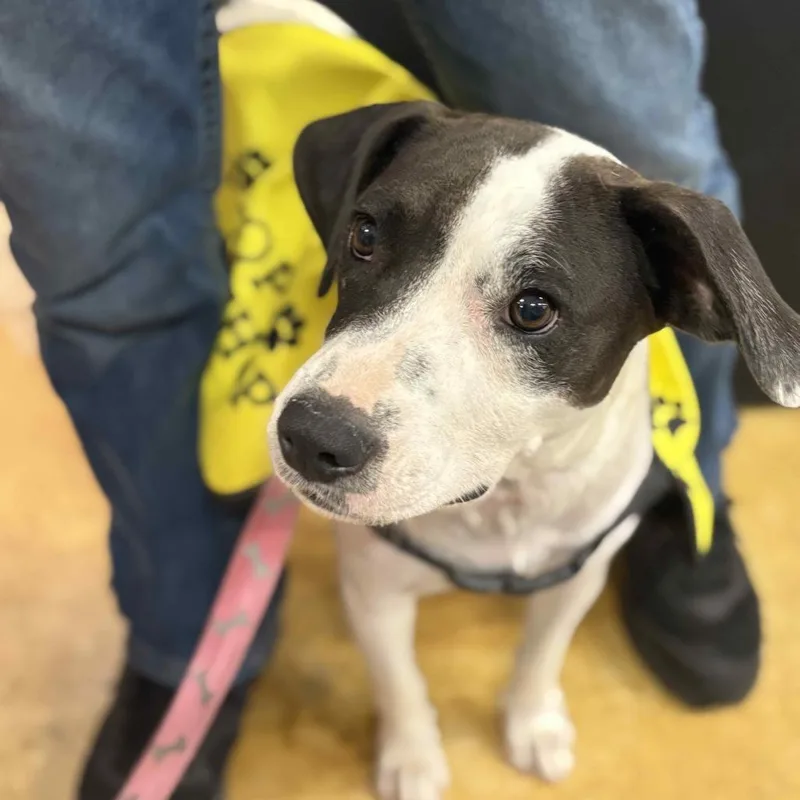 Momma Mia thumbnail 4