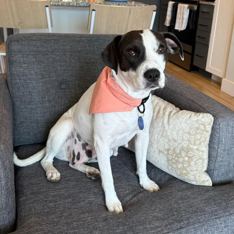 Momma Mia thumbnail 5