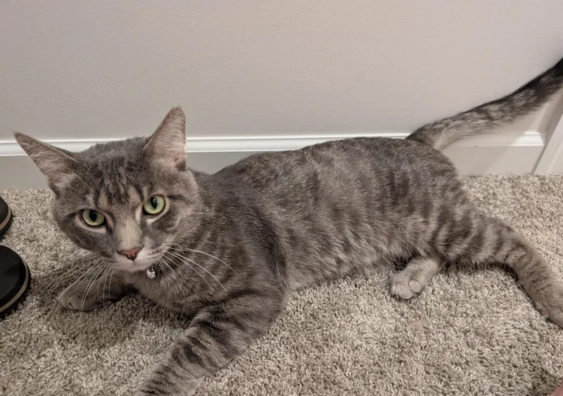 Clyde  No longer thumbnail 2