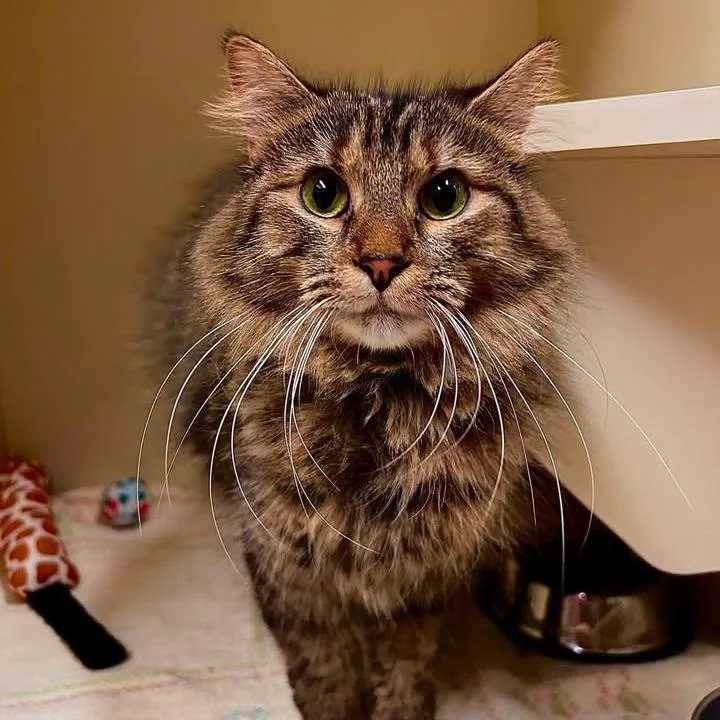 Genevieva thumbnail 2