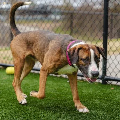 Coltrane thumbnail 3