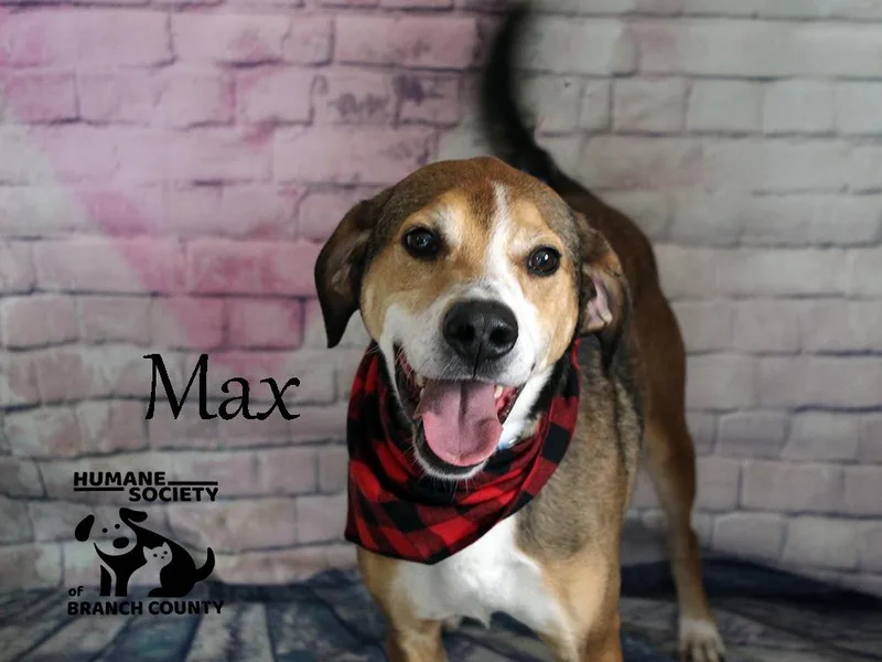 Max