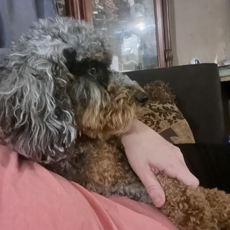 Luca thumbnail 2