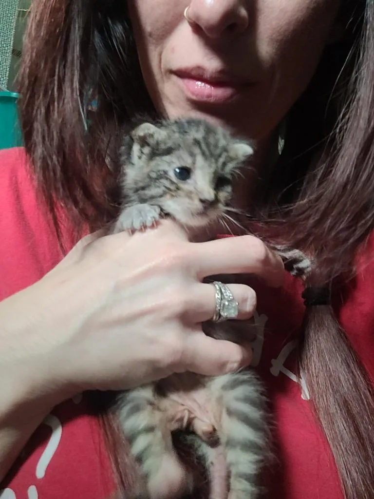 Baloo thumbnail 3