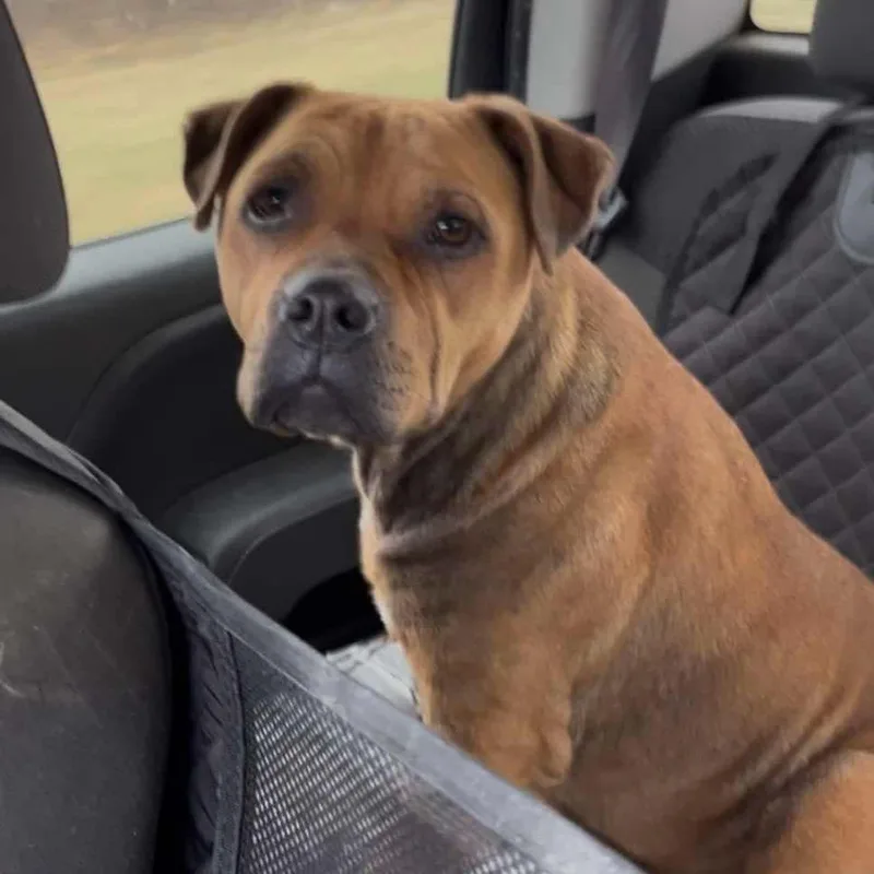 Nallawalla thumbnail 2