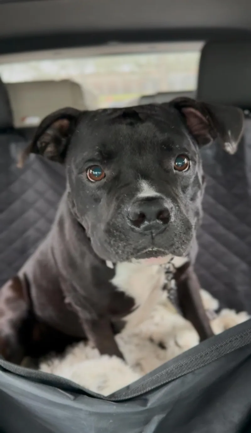 Aiden Mcready thumbnail 5