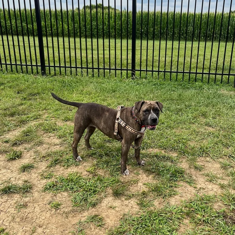 Marjorie thumbnail 3