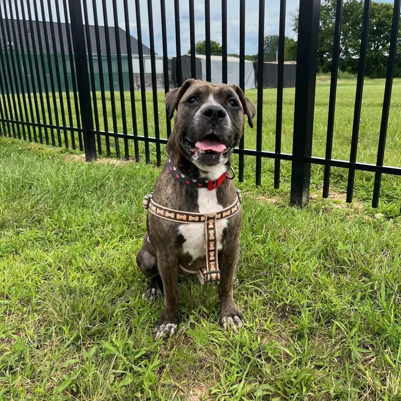 Marjorie thumbnail 4