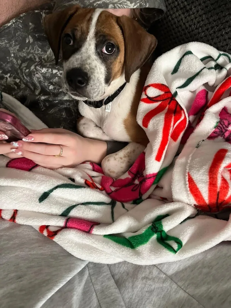 Precious thumbnail 2