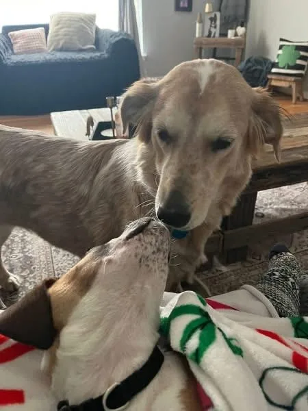 Precious thumbnail 3