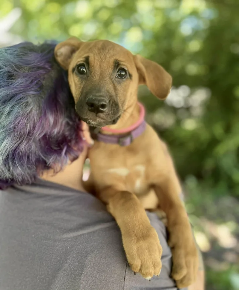 Zoë thumbnail 4