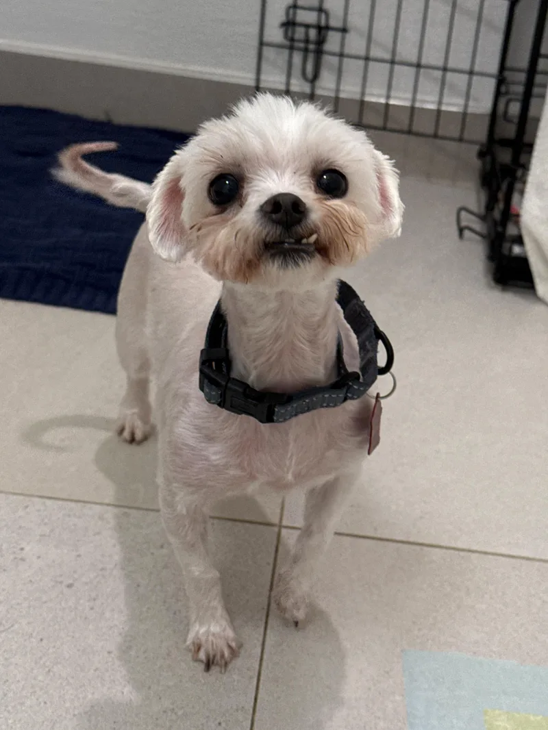 Edna