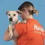 An adult medium-sized female Yellow / Tan / Blond / Fawn Mixed Breed dog named Vega for adoption in Hilliard, OH