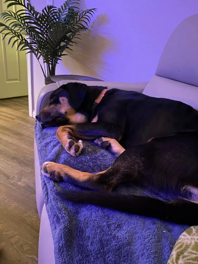 Midnight thumbnail 4