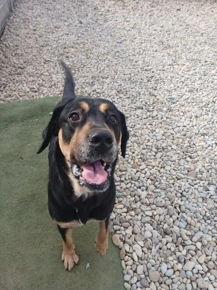 Midnight thumbnail 6