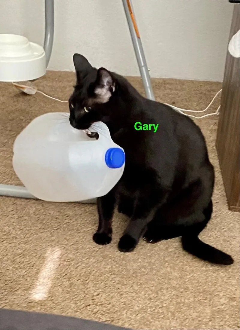 Courtesy Listing Gary