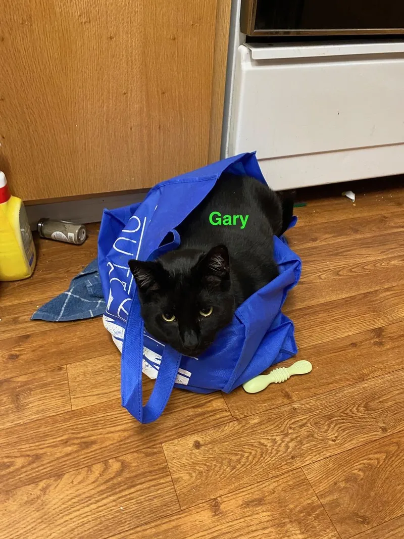 Courtesy Listing Gary thumbnail 2