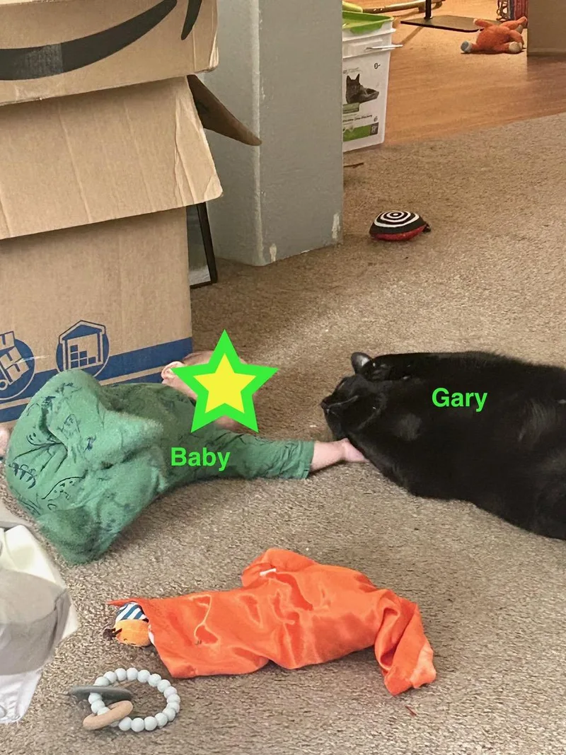 Courtesy Listing Gary thumbnail 4