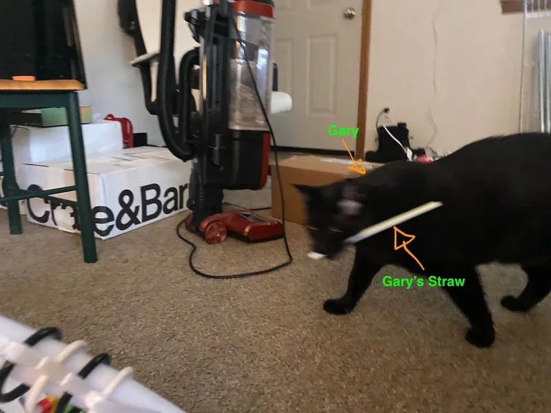 Courtesy Listing Gary thumbnail 5