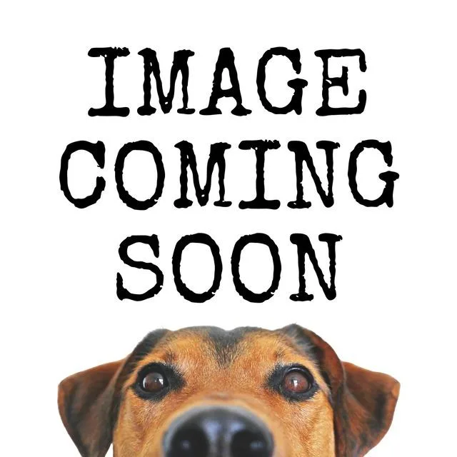 A baby small-sized female Mixed Breed dog named Floyd for adoption in Effingham, SC