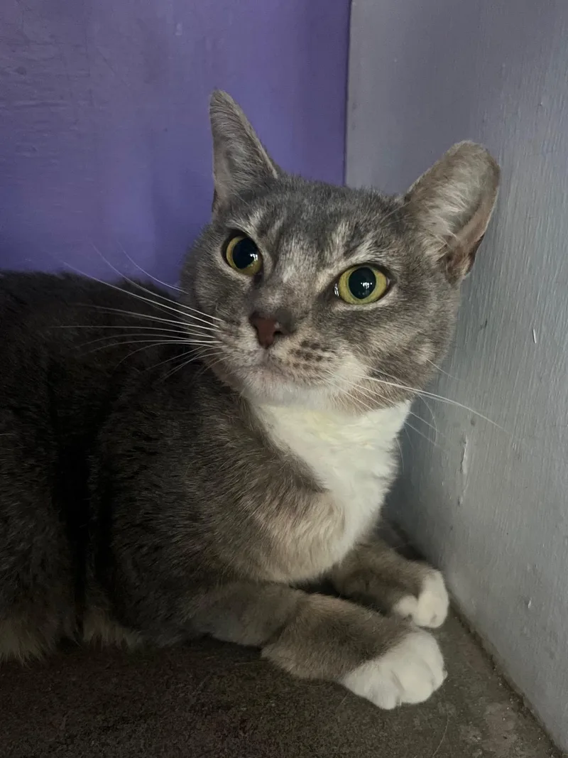 Lex Lancaster thumbnail 3