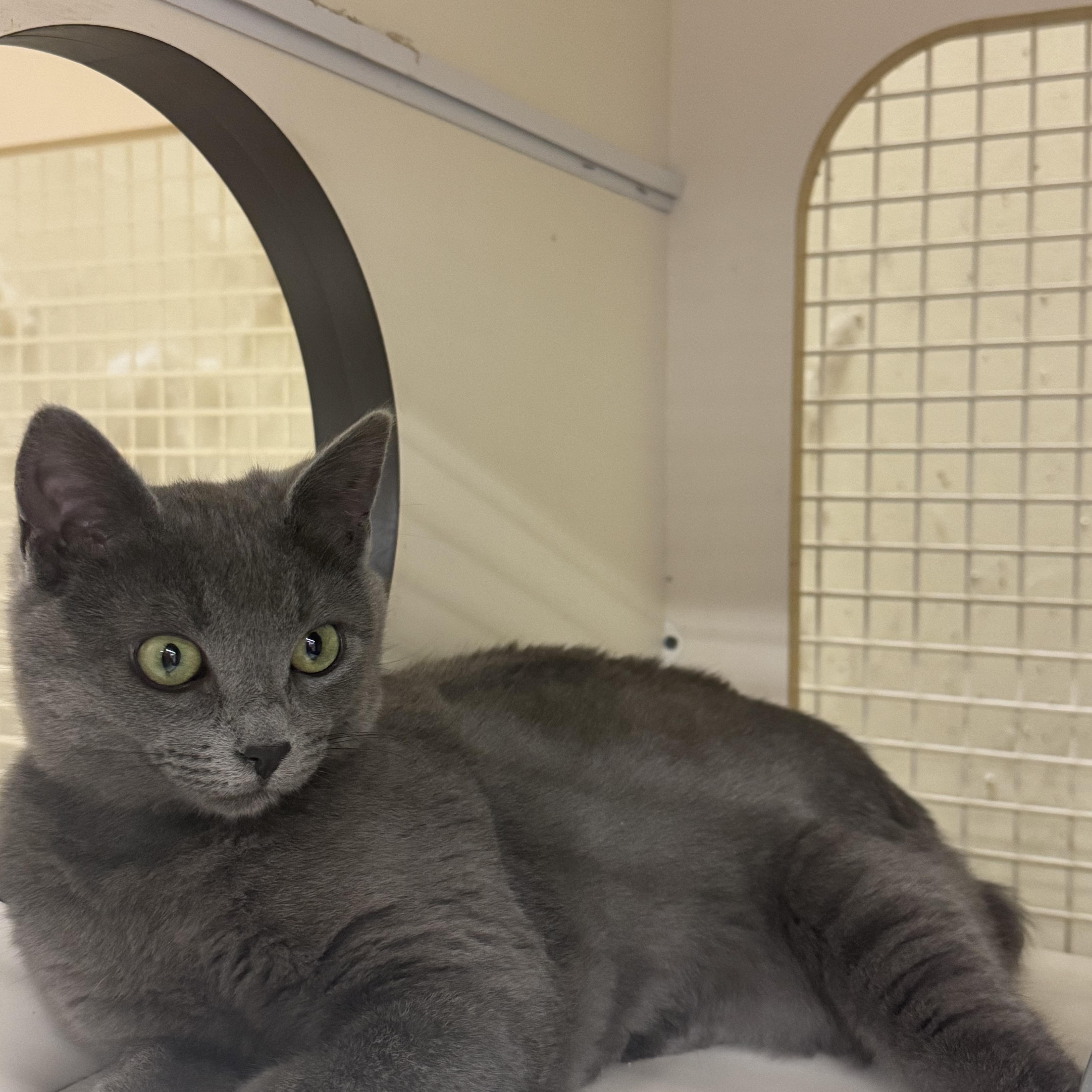 Token Indoor Only thumbnail 2