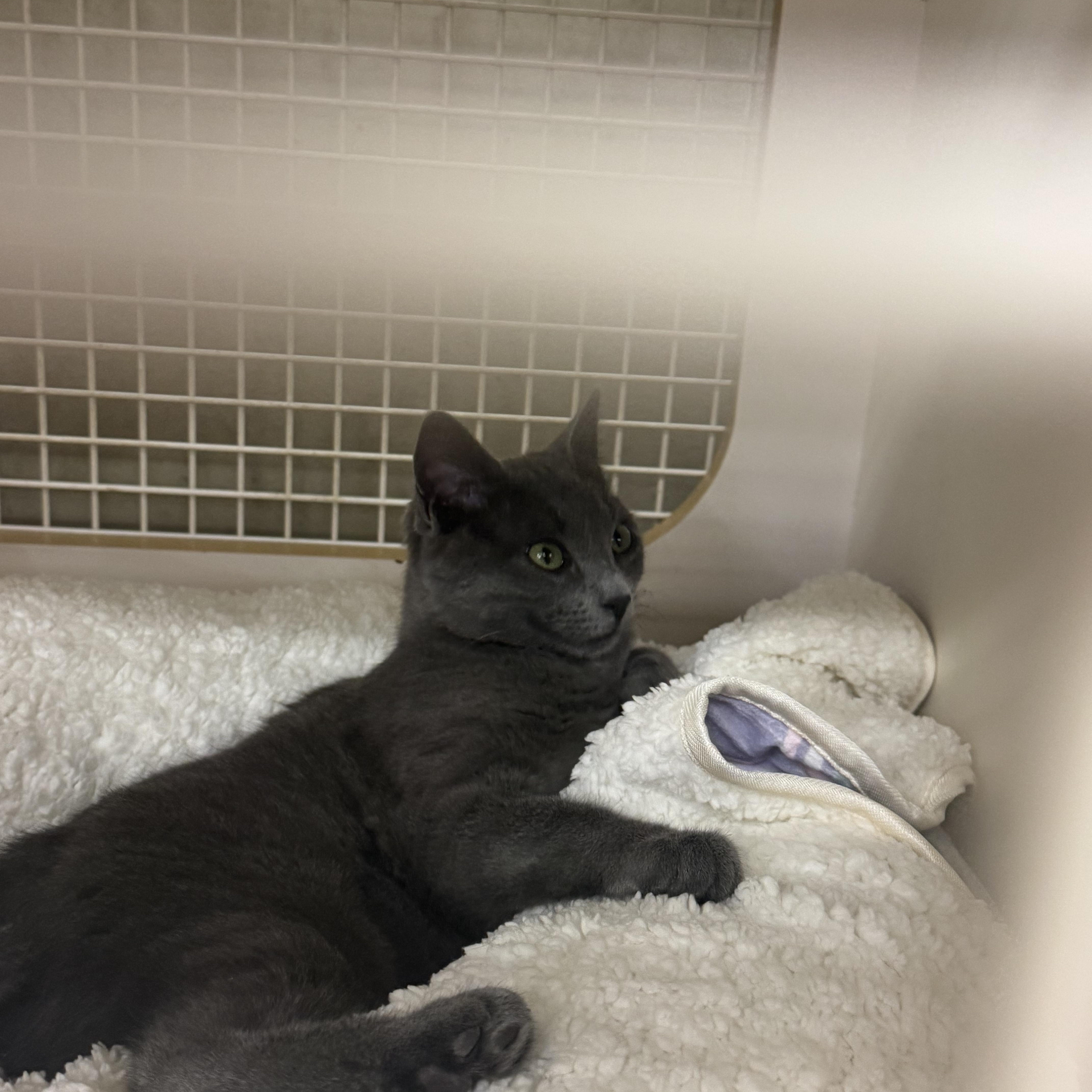 Token Indoor Only thumbnail 3