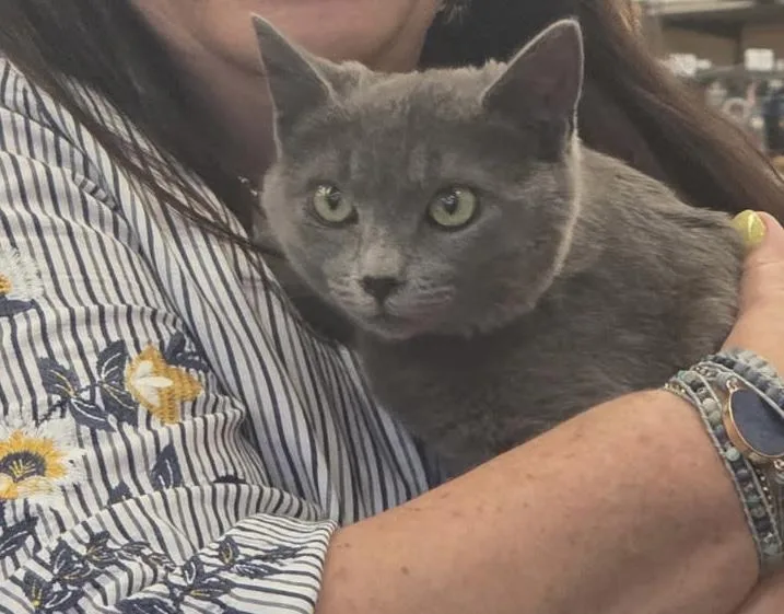 Token Indoor Only thumbnail 4