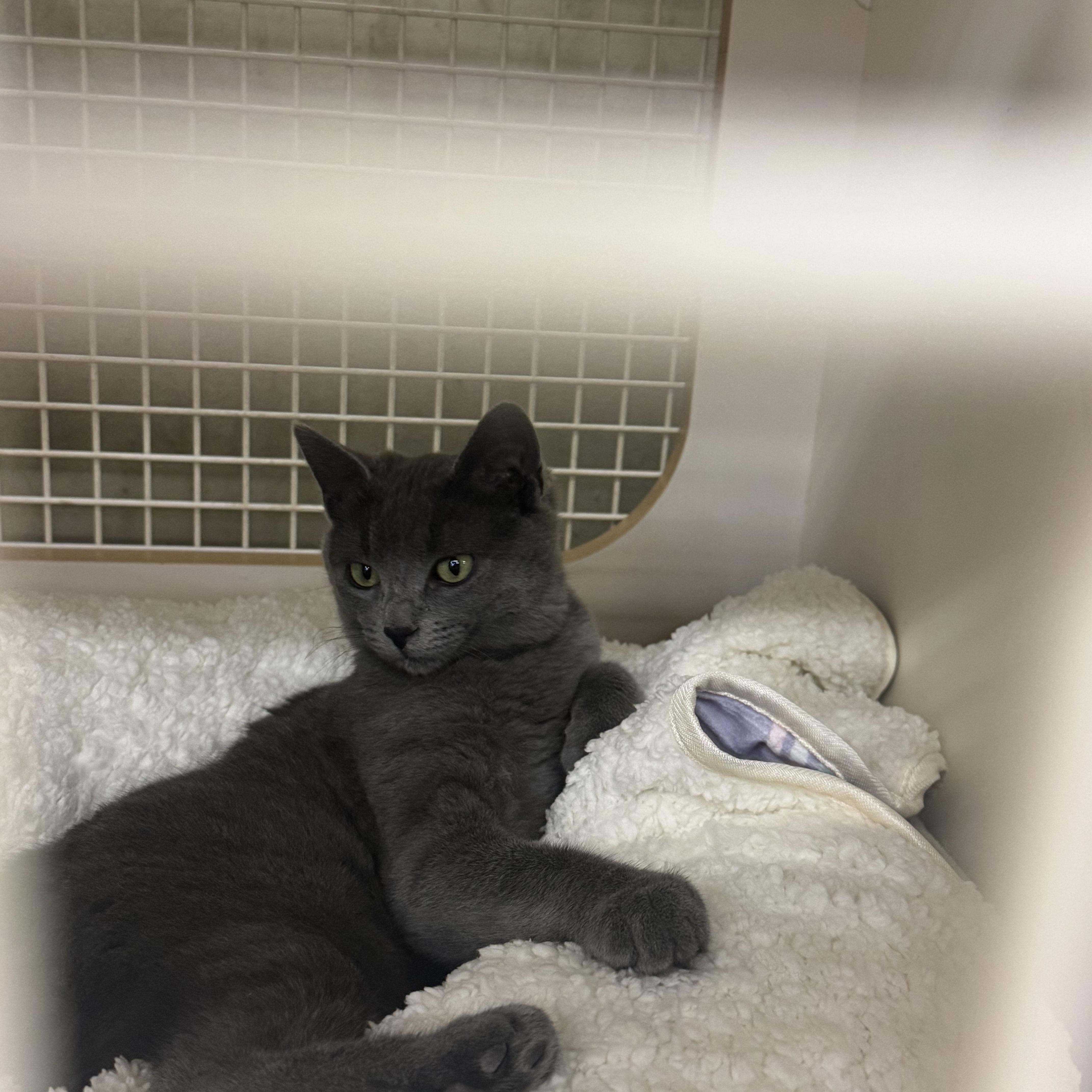 Token Indoor Only thumbnail 5