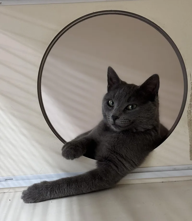 Token Indoor Only thumbnail 6