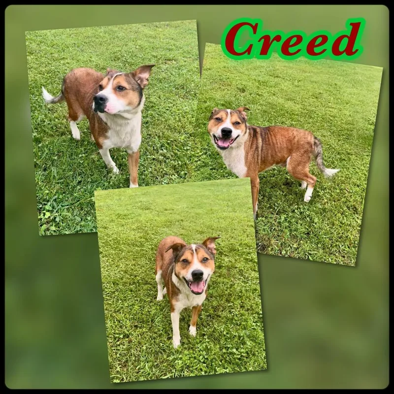 Creed aka Texas thumbnail 2