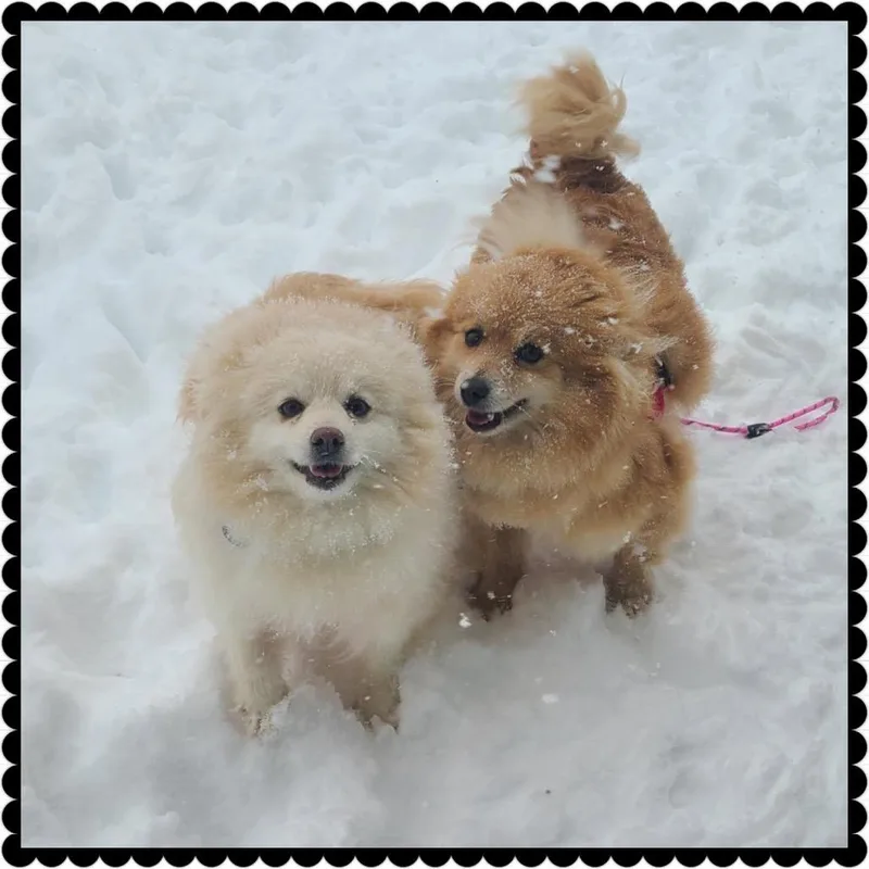 Lorella D thumbnail 3