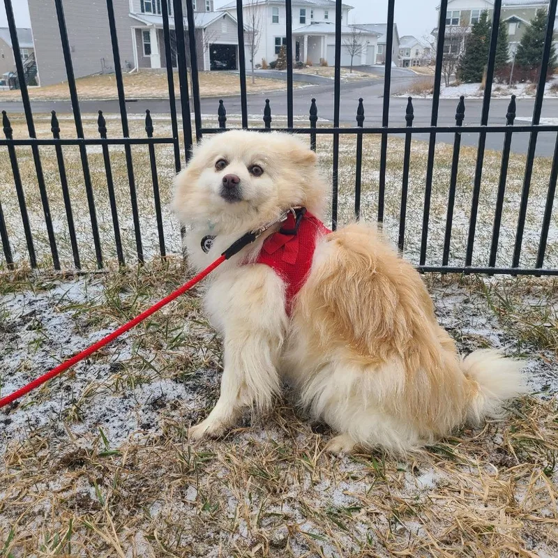 Lorella D thumbnail 5