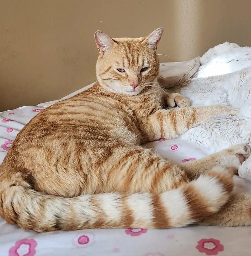 Sunny Bonded To Sunshine thumbnail 2