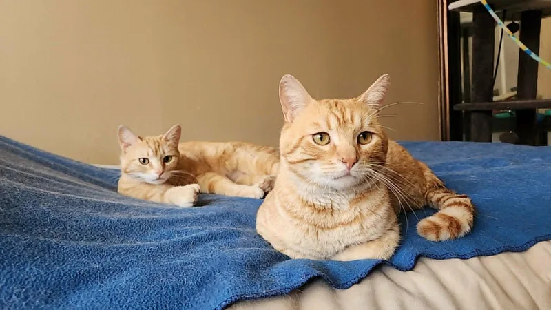 Sunny Bonded To Sunshine thumbnail 3