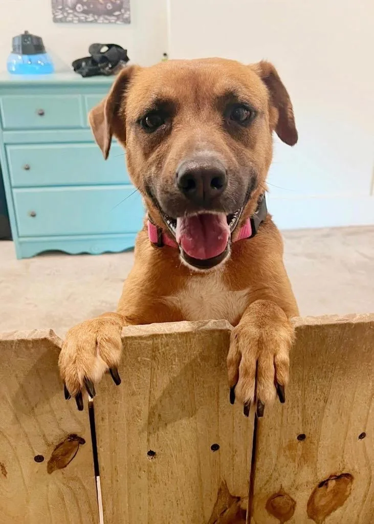 Francine thumbnail 2