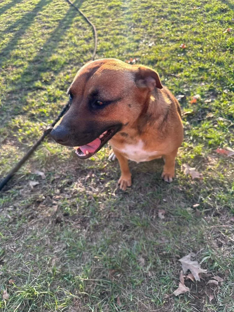 Francine thumbnail 4