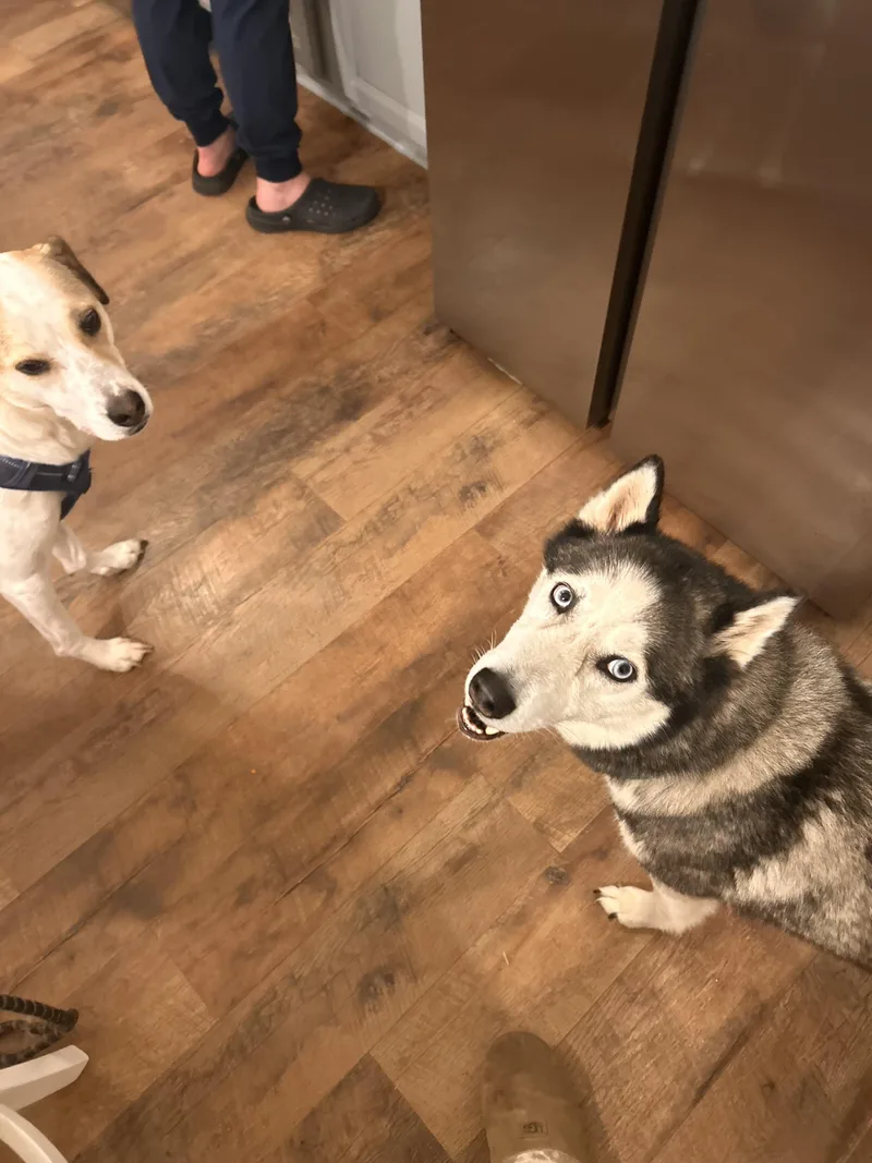 Courtesy Listing Winter