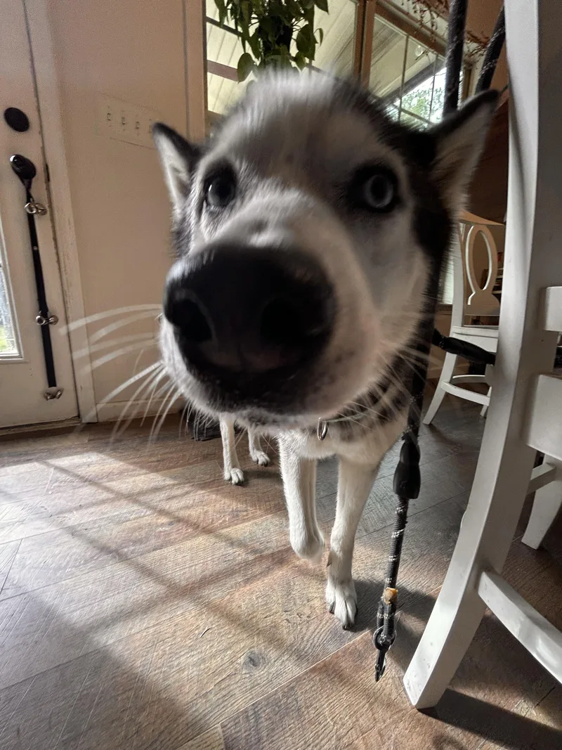 Courtesy Listing Winter thumbnail 2