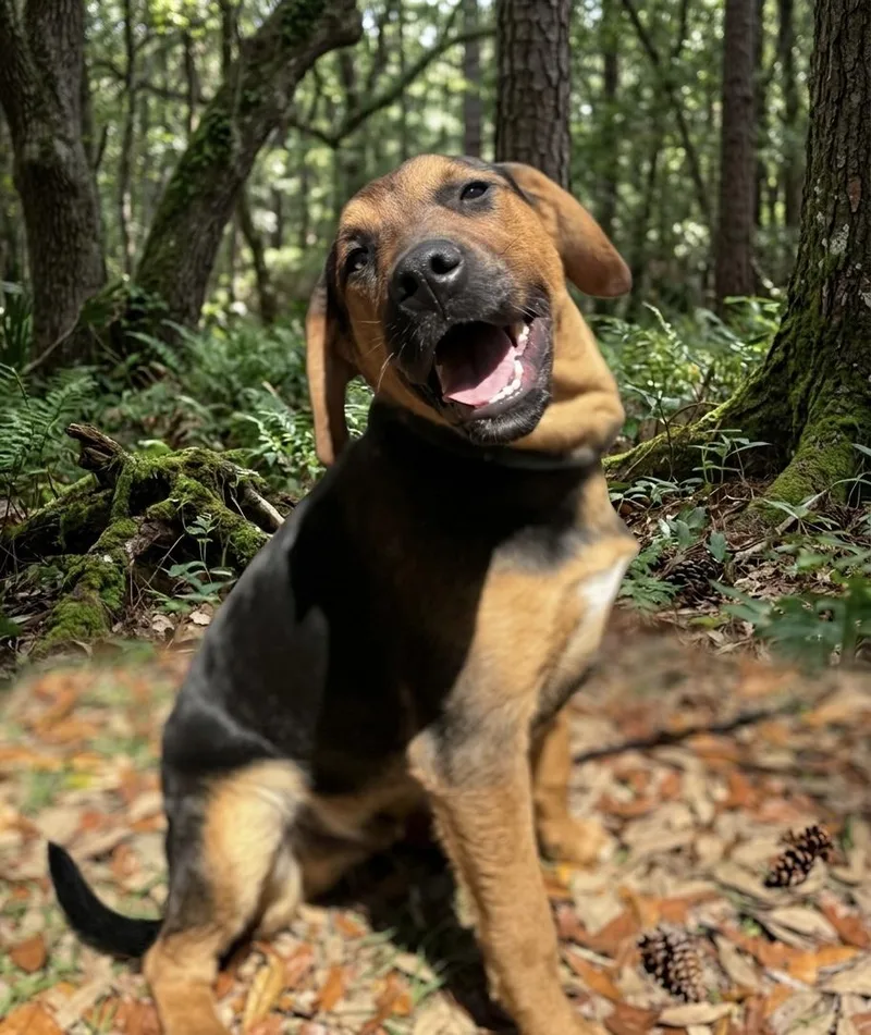 Clay Walker thumbnail 3