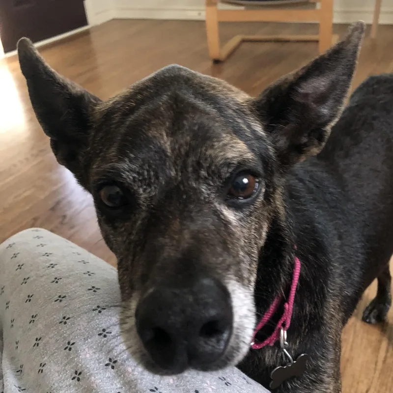 Danny And Wally thumbnail 2