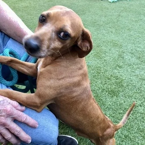 Danny And Wally thumbnail 5