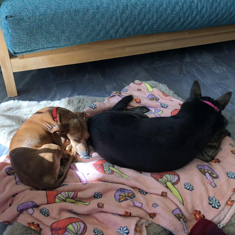 Danny And Wally thumbnail 6