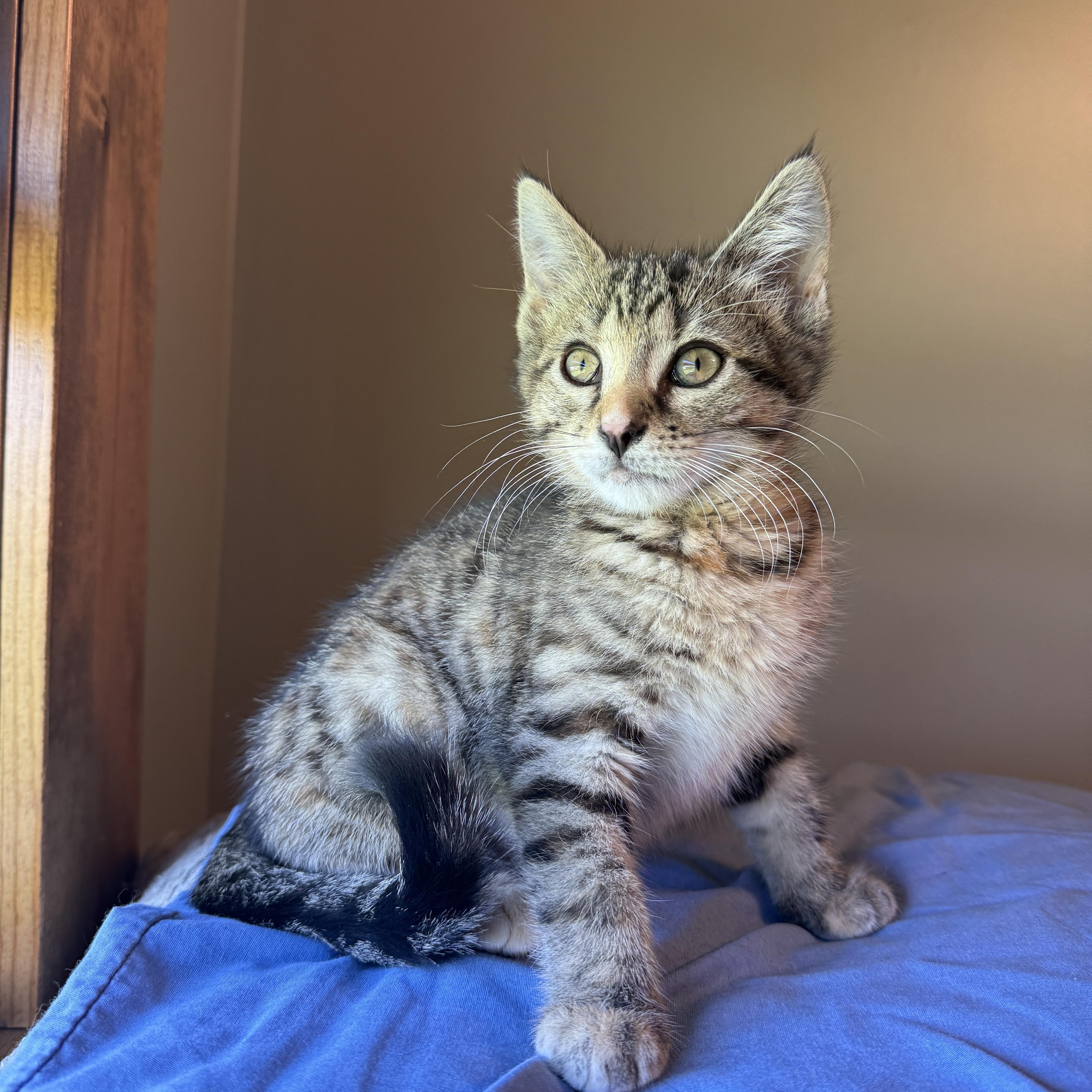 Sedona Mae thumbnail 3