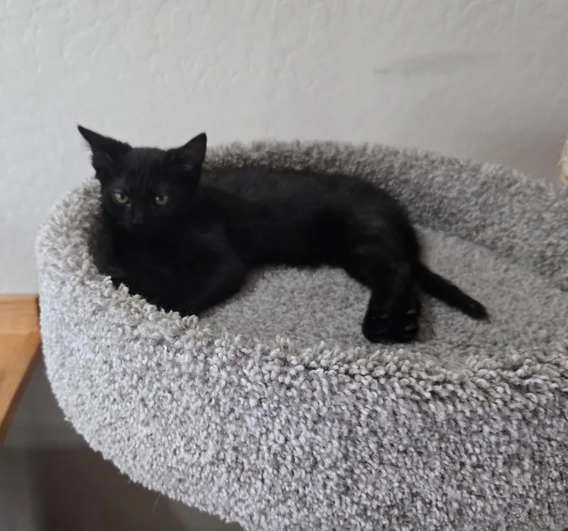 Dani thumbnail 2