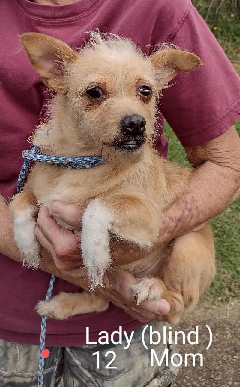 Leah Lady thumbnail 2