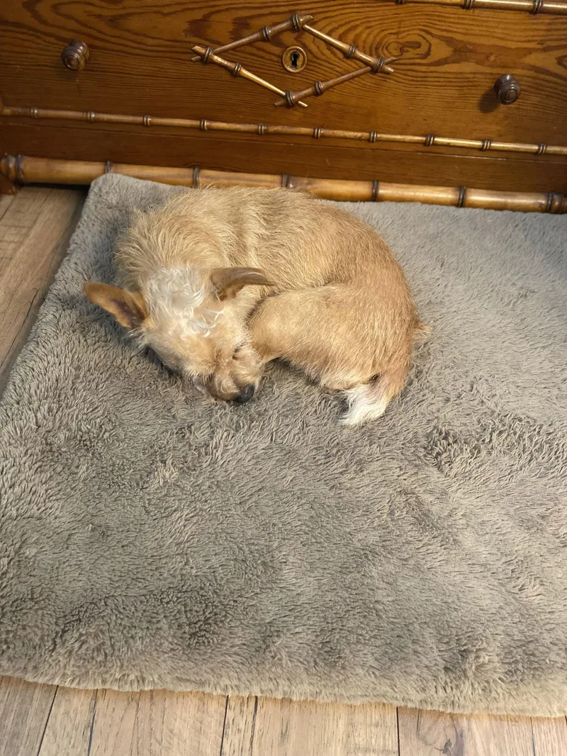 Leah Lady thumbnail 3