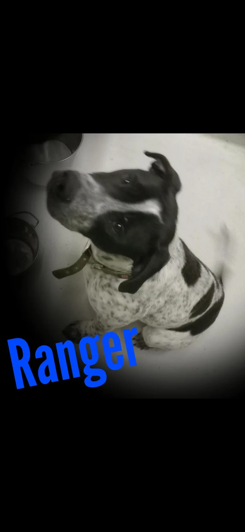 Ranger