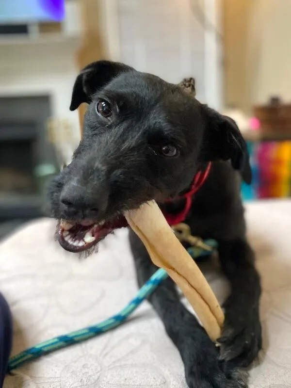 Elizabeth thumbnail 5