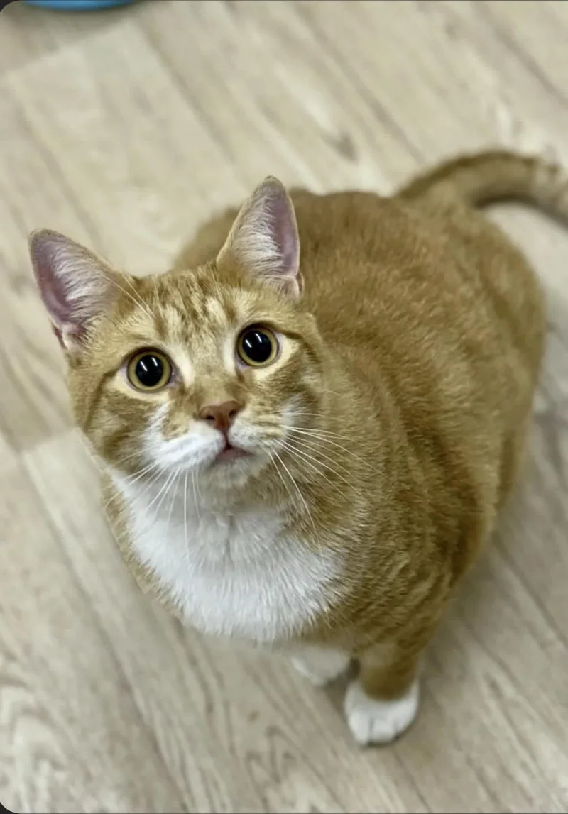 Layne & Lennon thumbnail 2